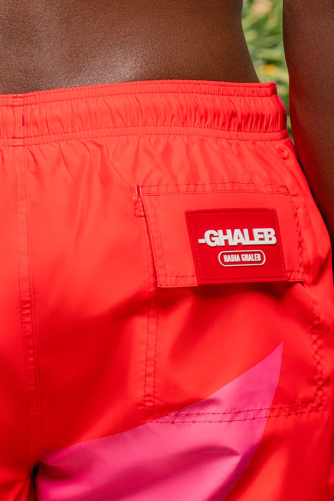 Cherry Blaze II Men’s Shorts
